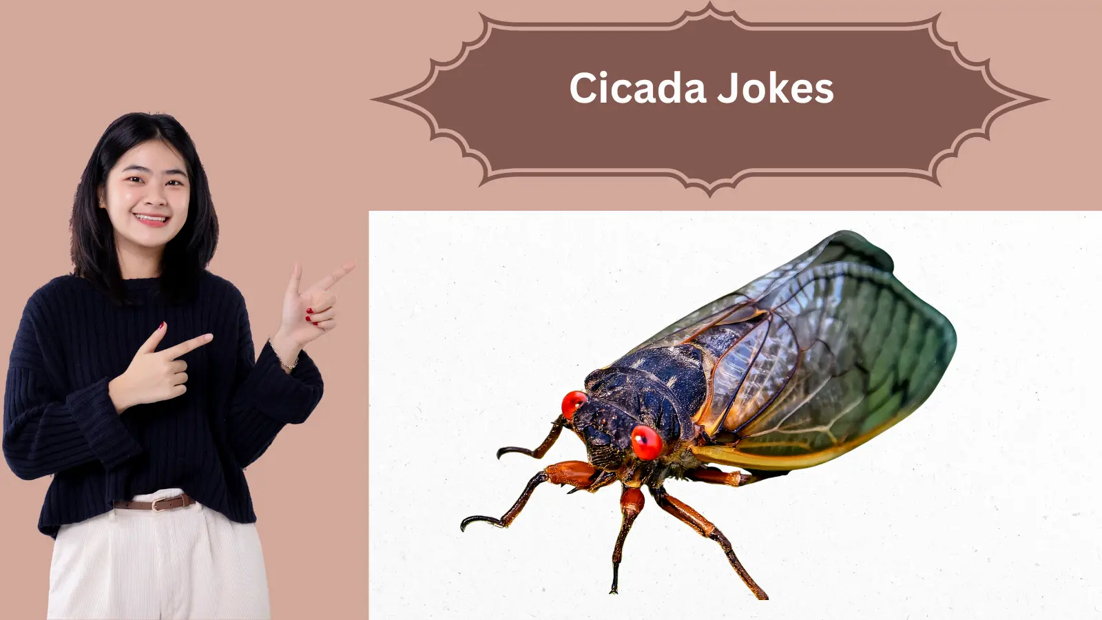 You are currently viewing 2025 Cicada Jokes: 🦗 The Funniest Insect Puns That Only Come Once in 17 Years!