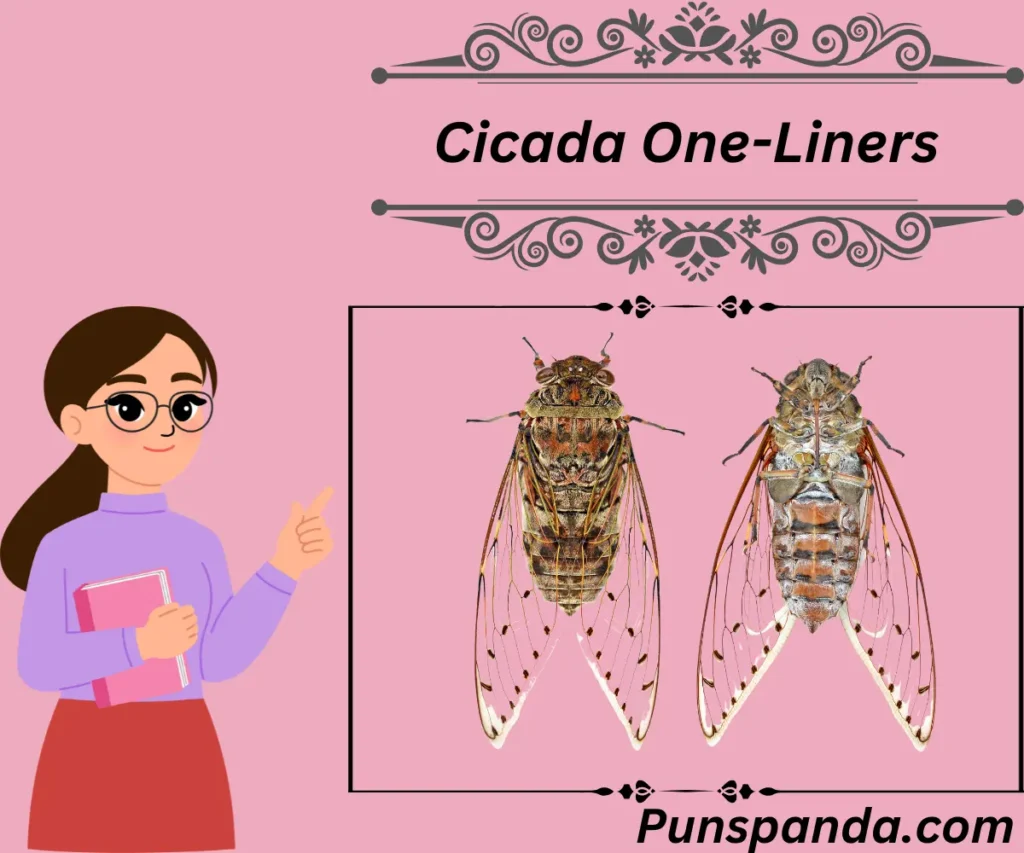 Cicada One-Liners