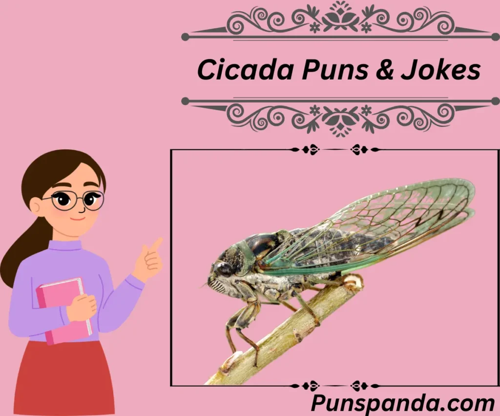 Cicada Puns 