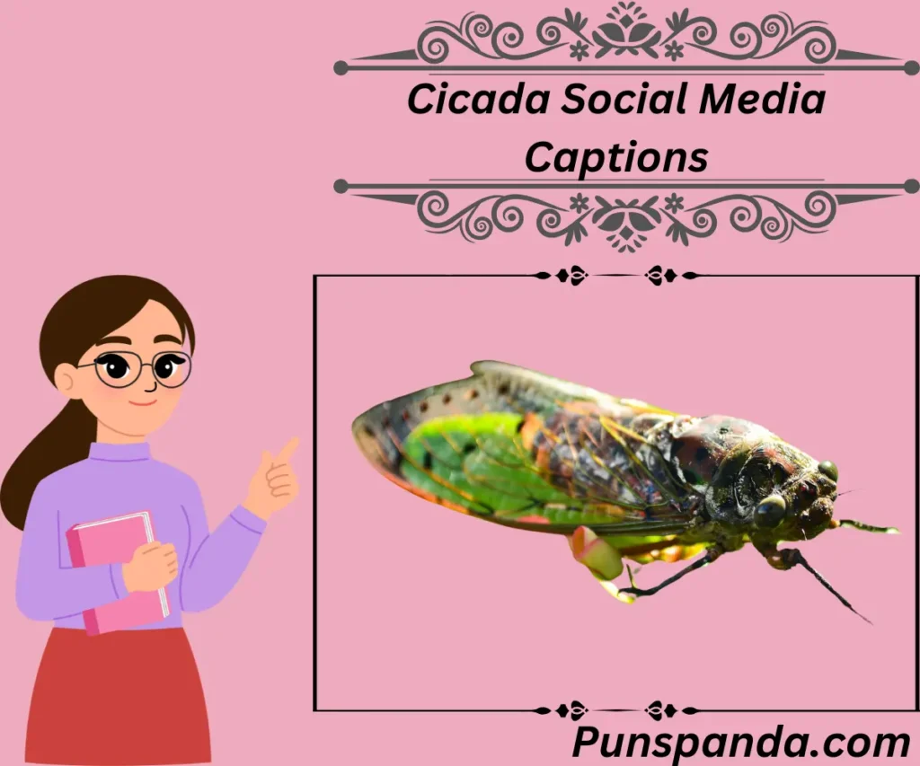 Cicada Social Media Captions