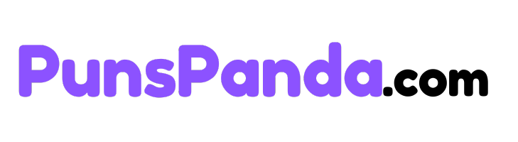 punspanda.com