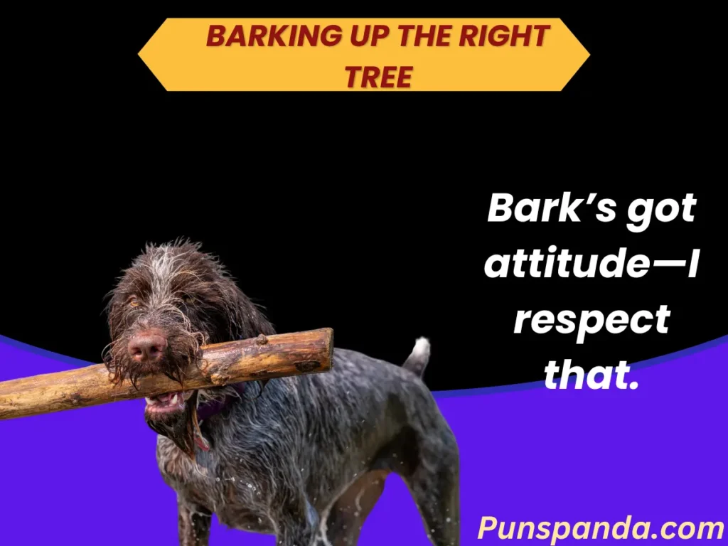 Barking Up the Right Tree