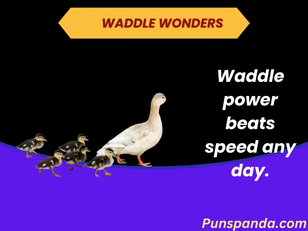 Waddle Wonders