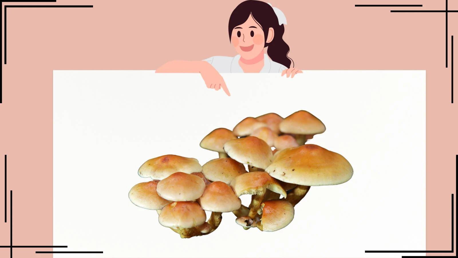 You are currently viewing 327+Fungi Jokes: Hilarious Mushroom Puns For 2025 That’ll Spore Your Sides with Laughter