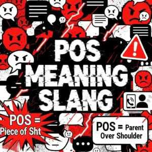 Read more about the article POS Meaning Slang: What It Really Stands For