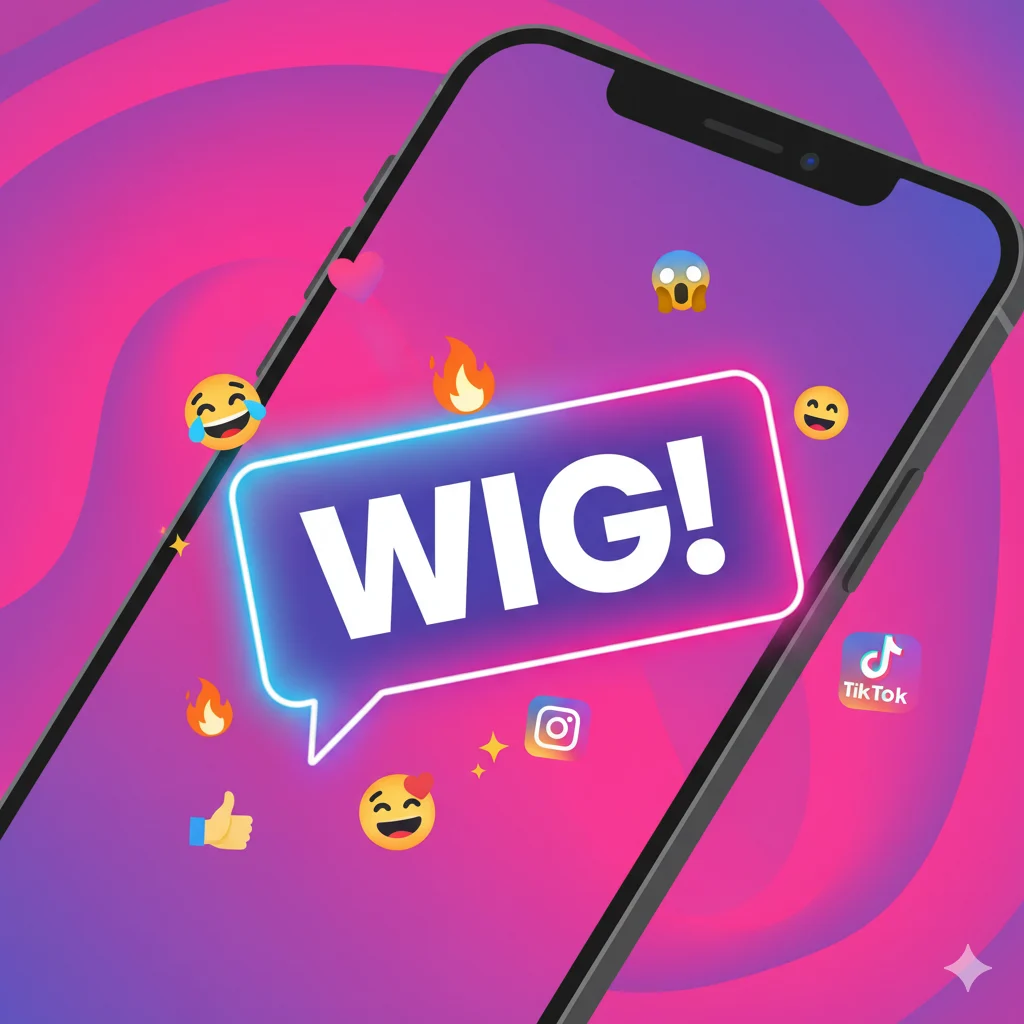 wig meaning slang